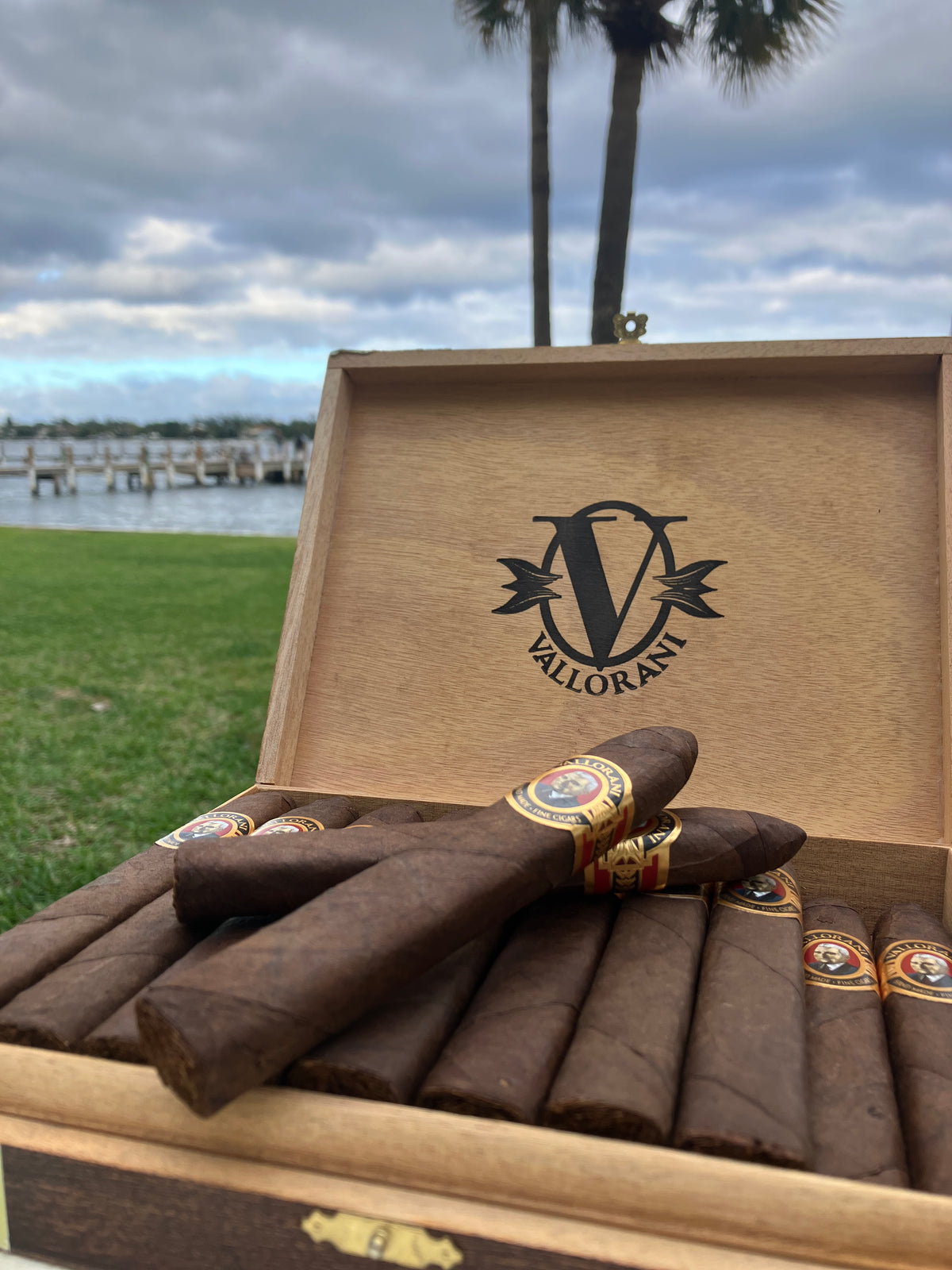 Vallorani | Luigi Torpedo